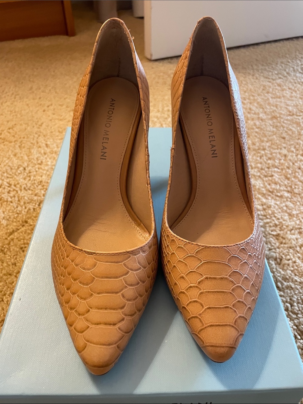 ANTONIO MELANI Camel Textured Pointed-Toe Pumps